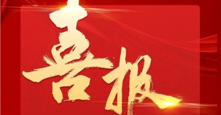 中達(dá)集團(tuán)及多家子公司上榜2024年嘉興民營企業(yè)百強(qiáng)榜單！